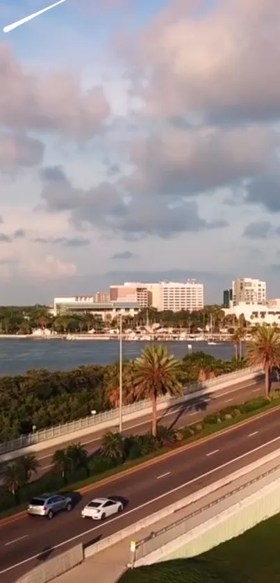 Scenic waterfront with road, palm trees, and city skyline under a blue sky.