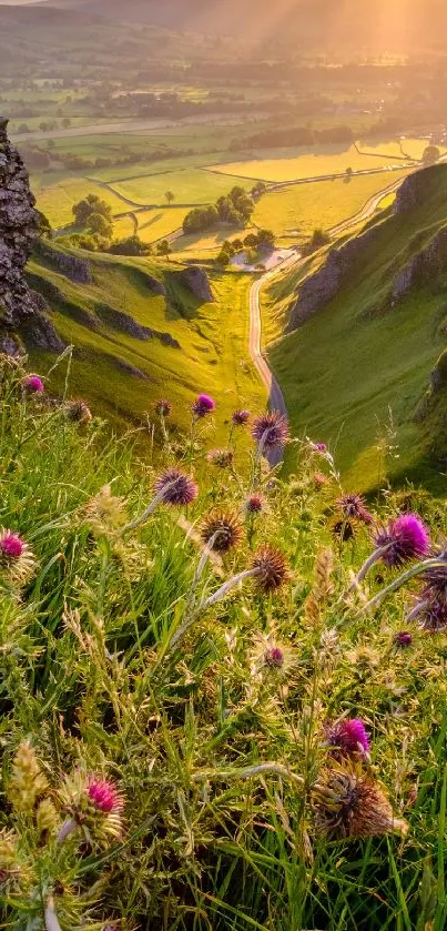 Tranquil sunrise over a lush green valley with wildflowers and scenic hills.