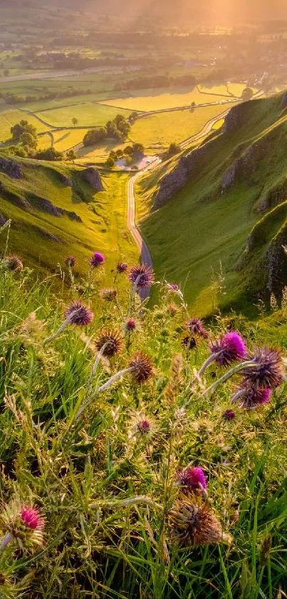 Scenic valley at sunrise with green hills and wildflowers.