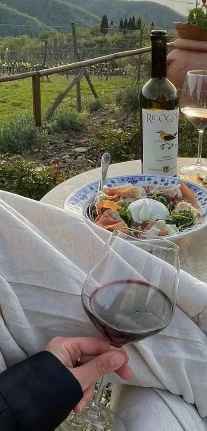 Vineyard picnic scene with wine and food.