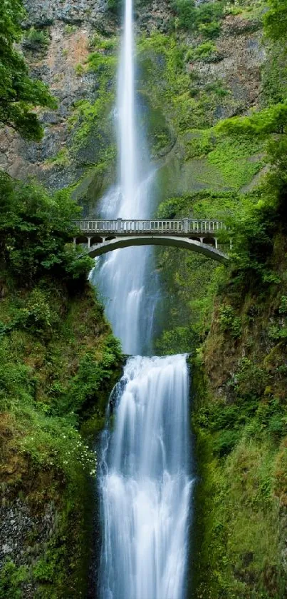 A stunning waterfall flowing under a bridge with lush green surroundings.