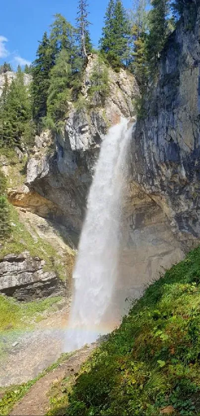 Waterfall cascading down a cliff into green forest.