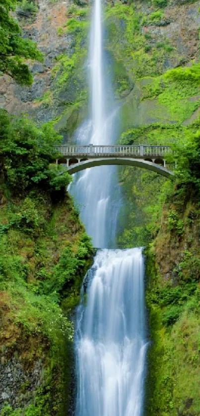 Majestic waterfall flowing under a tranquil bridge with lush greenery.