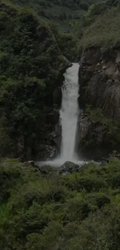 A tranquil waterfall flows through a lush forest setting.