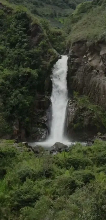 Waterfall cascading in lush forest setting, a serene natural scene.