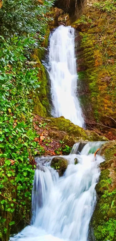 Waterfall flowing amid lush green forest landscape.