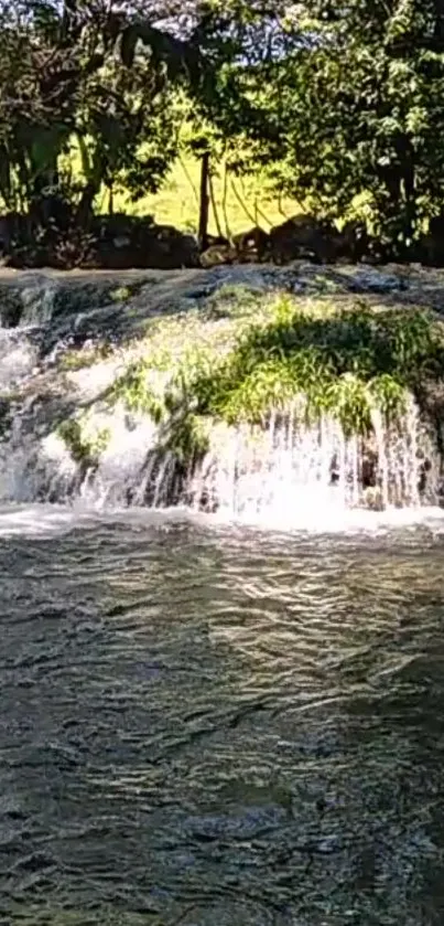 Scenic waterfall with lush greenery on a bright sunny day.