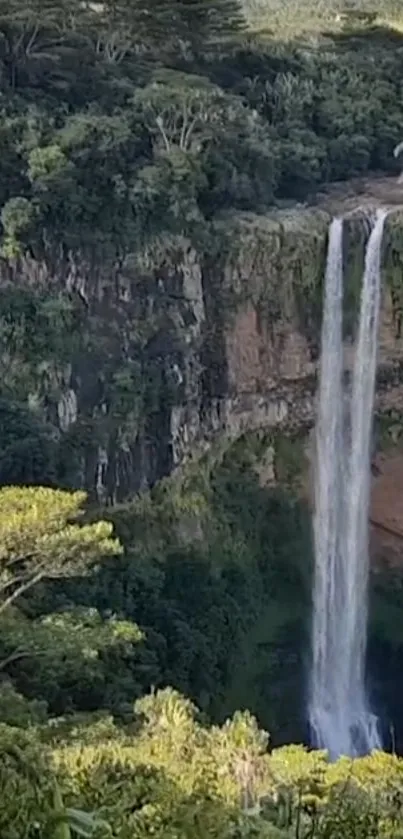 Waterfall cascading down a lush forest cliff.