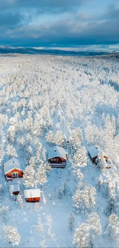 Aerial view of snow-covered cabins amidst a tranquil winter forest landscape.