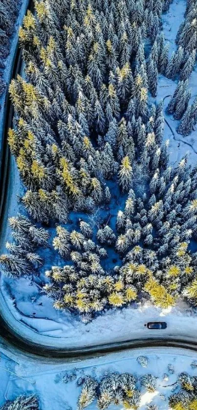 Aerial view of a snowy forest road winding through a winter landscape.