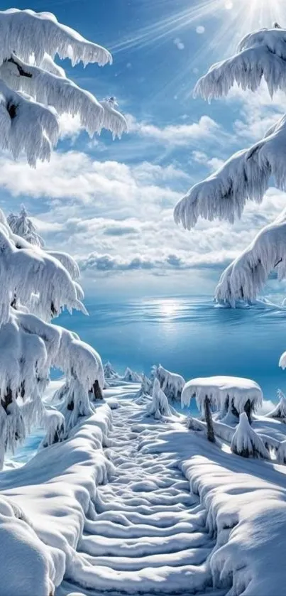 Peaceful snow-covered path through a scenic winter landscape.