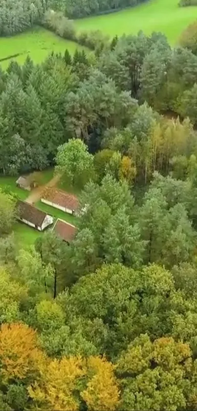 Aerial view of lush green forest with scattered rustic houses and vibrant foliage.