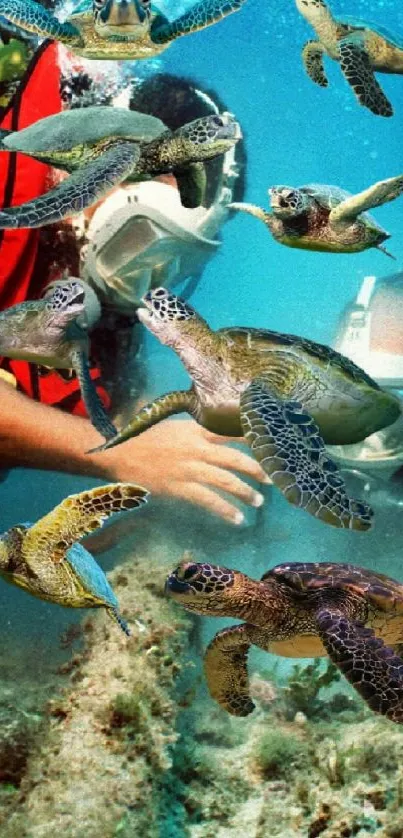 Scuba divers exploring with sea turtles underwater.