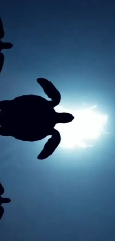 Silhouettes of sea turtles swim against a bright ocean background.