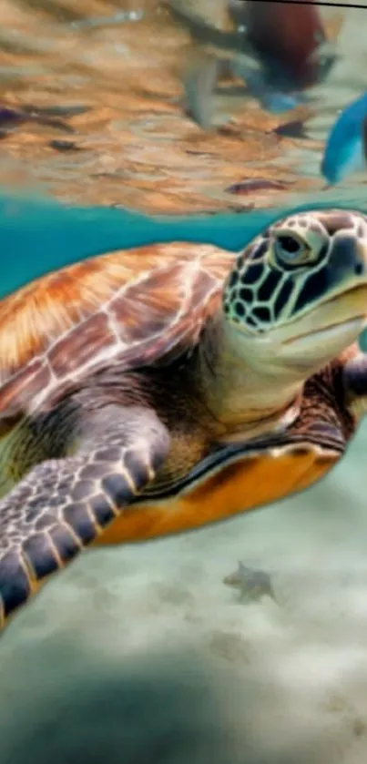 Sea turtle swimming underwater, surrounded by vibrant fish and clear ocean water.