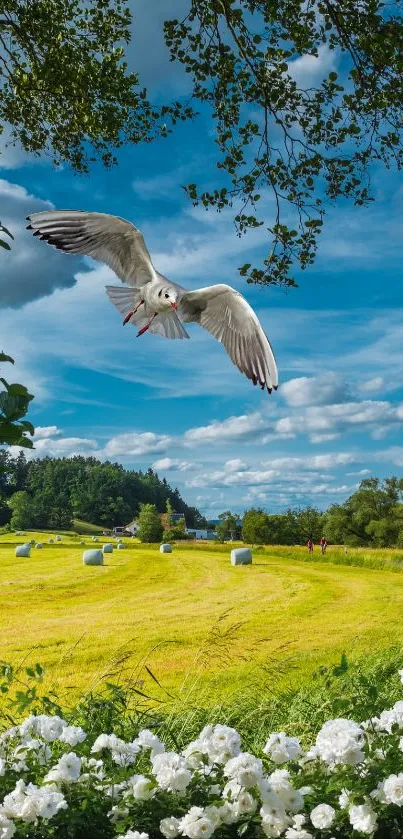 Seagull flying over a sunny countryside landscape with blue skies.