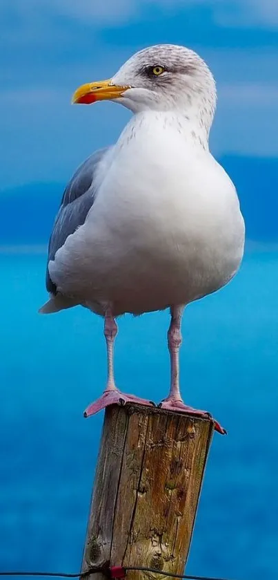 Seagull perched on post by blue ocean.