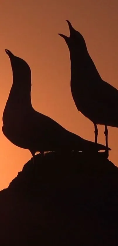 Silhouettes of seagulls perched against a vivid sunset.