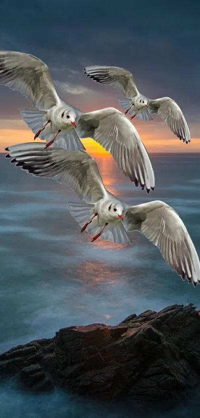 Seagulls soar over ocean at sunset, capturing serene natural beauty.