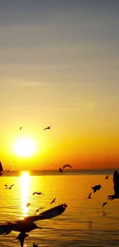 Seagulls flying at sunset over a tranquil sea horizon.