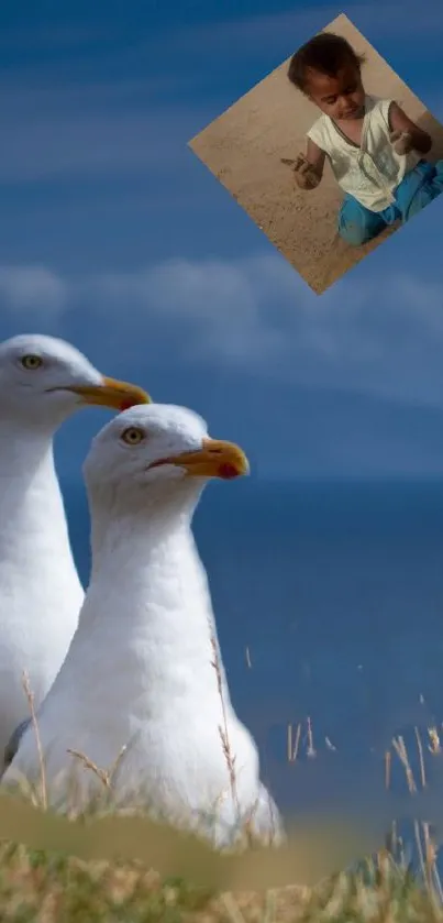 Two seagulls by the ocean with a blue sky in the background.