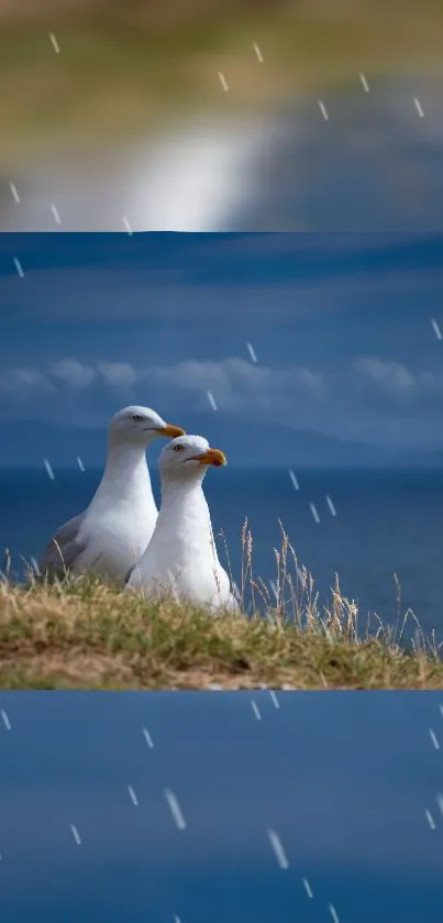 Serene mobile wallpaper with seagulls by the ocean and dark blue sky.