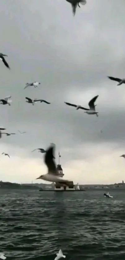 Seagulls flying over ocean with a moody sky.