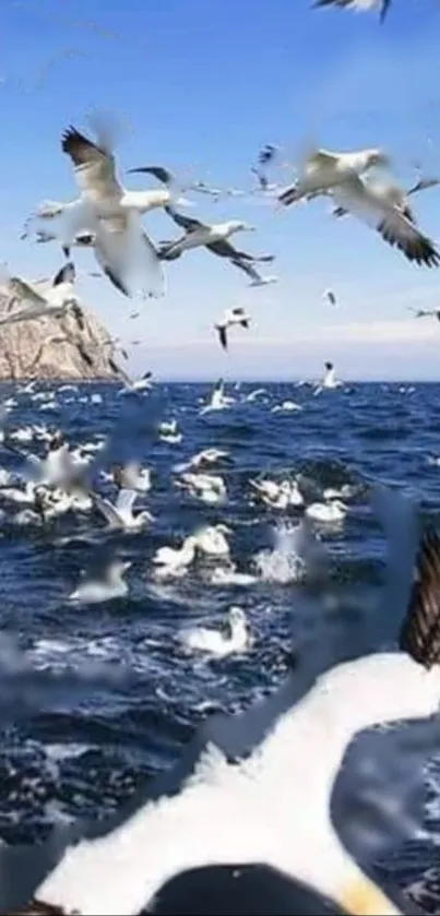 Seagulls flying above a blue ocean with waves.