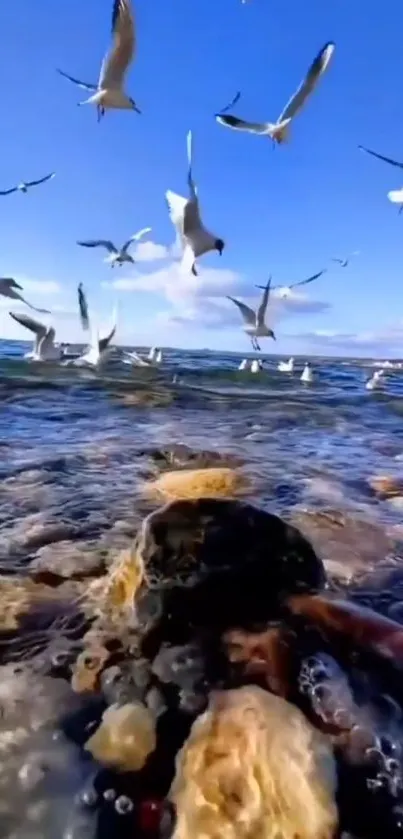 Seagulls soaring over ocean waves with a vibrant blue sky.