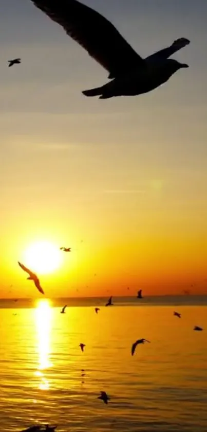 Seagulls soar against a vibrant sunset sky over a calm ocean.