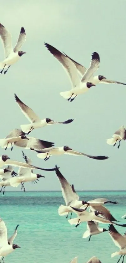 Seagulls flying above a tranquil ocean backdrop with a pastel aqua sky.