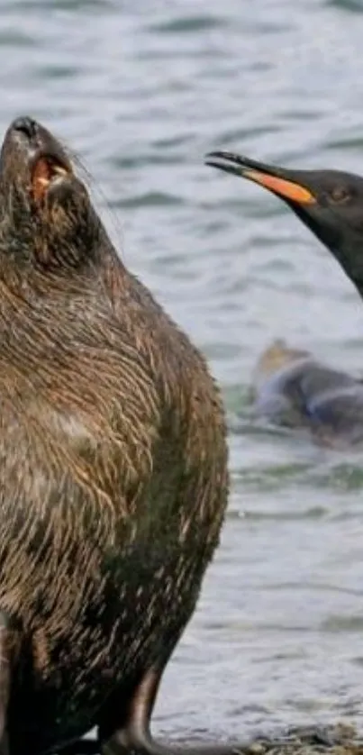 Seal and penguin by the water, wildlife scene.