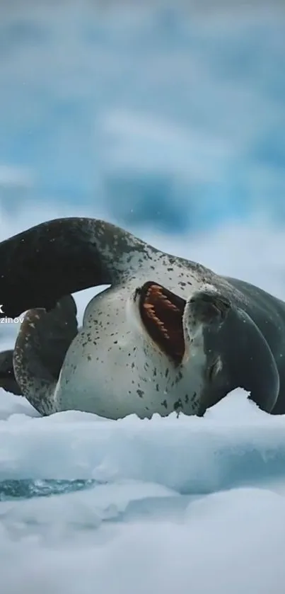 Seal resting on ice in a serene, wintry scene.