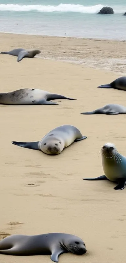 Seals lounging on a sandy beach under a serene sky