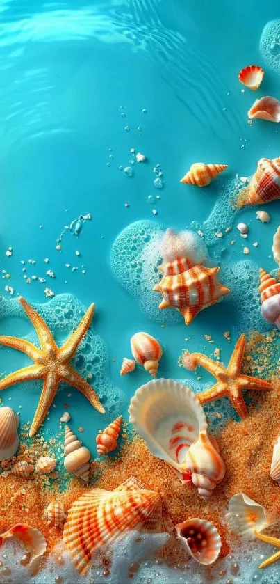 Colorful seashells and starfish on turquoise beach.