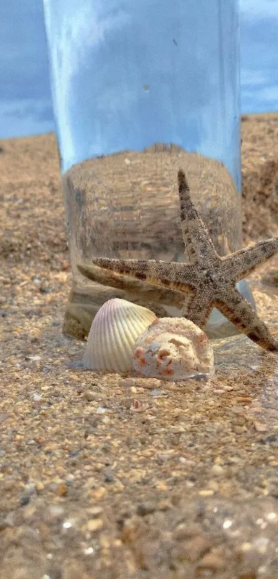 Beach scene with seashells and starfish on sandy shore.