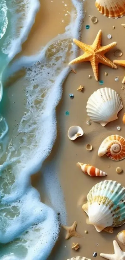 Seashells and starfish on a sandy shore with ocean waves.