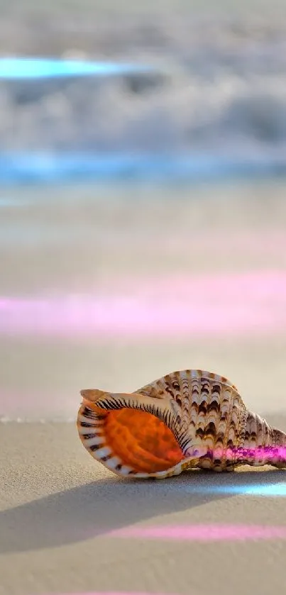 Seashell on a sandy beach with ocean waves in the background.