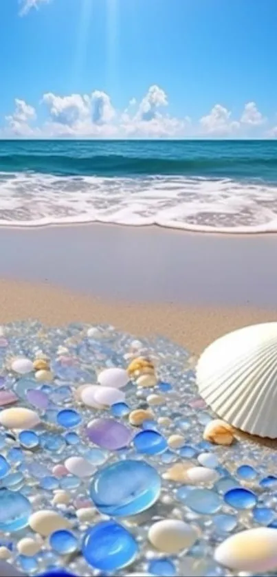 Seashells on a sunlit beach with ocean waves and sky.