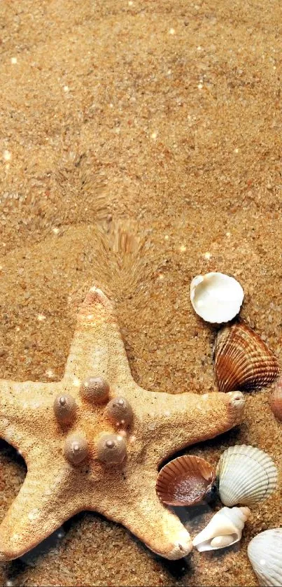 Sandy beach with seashells, perfect for mobile wallpaper.