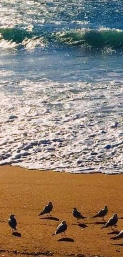 Seaside view with birds and waves in a mobile wallpaper.