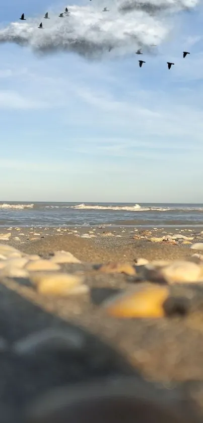 Beach scene with seashells and flying birds under a blue sky.