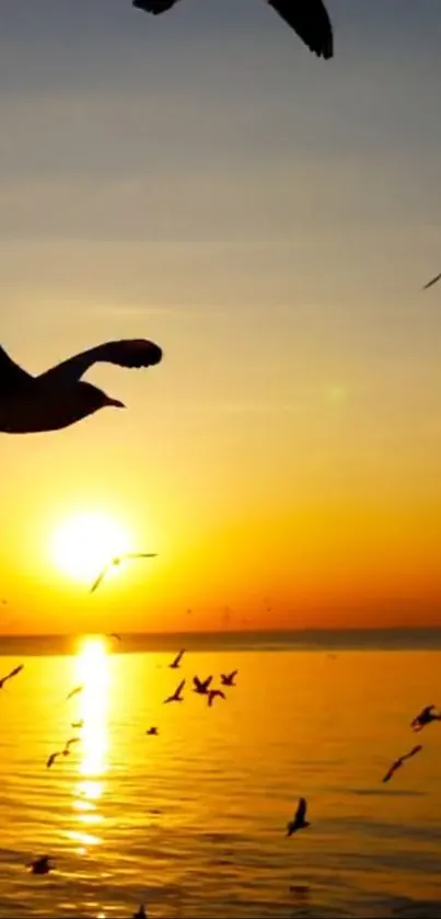 A serene sunset over the ocean with silhouetted birds flying.