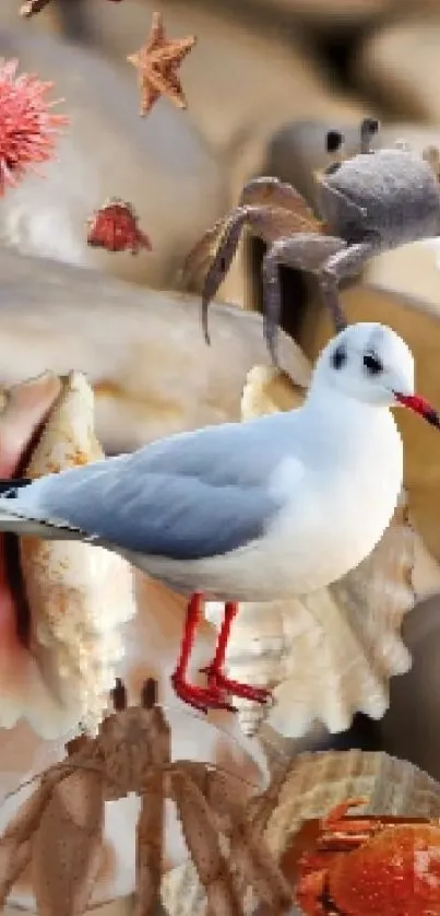 Seagull and marine creatures on a beach wallpaper.