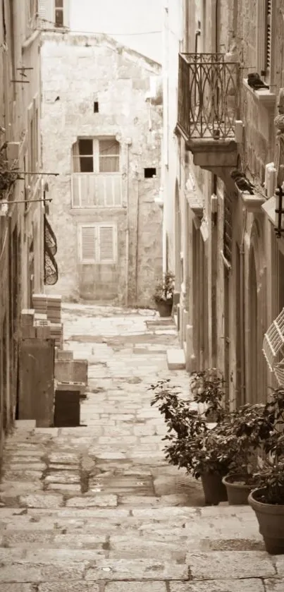 Sepia-toned vintage alleyway view with stone pathway.