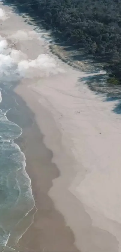 Aerial view of serene sandy beach with ocean waves and coastal forest.