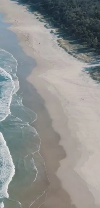 Aerial view of a serene beach with blue ocean waves and sandy shores.