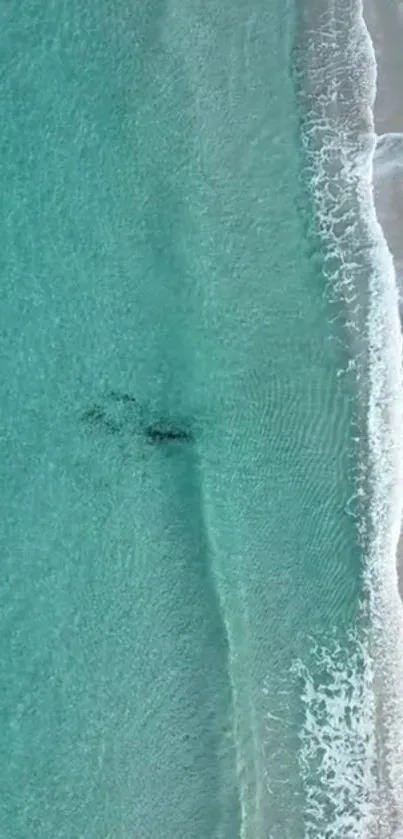 Aerial view of turquoise ocean meeting sandy beach