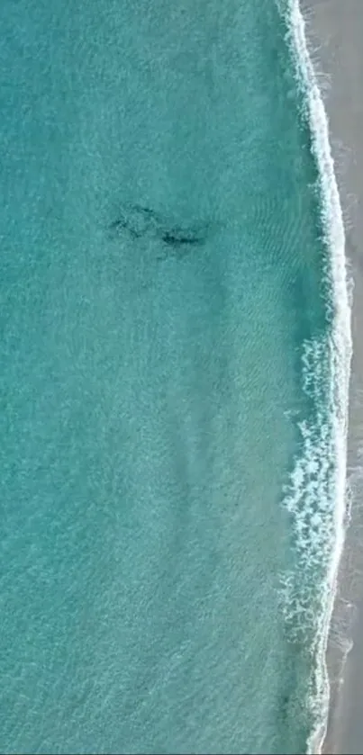 Aerial view of turquoise beach waves and sandy shore.