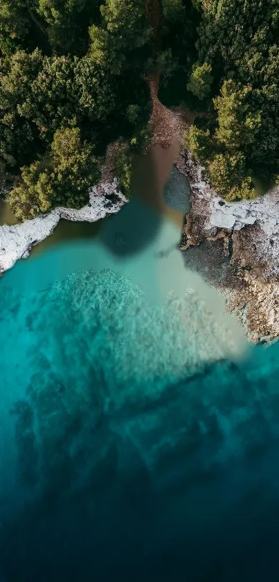 Aerial view of a turquoise shoreline surrounded by lush greenery.